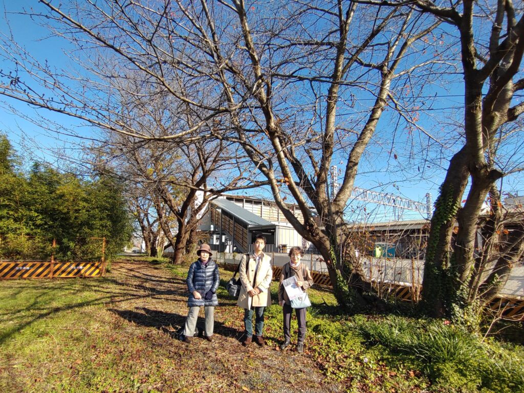 七里の桜視察の様子（2022年12月7日）。七里の桜を守る会の原田氏（左）、井上代表（右）と当会代表（中）。背景は七里駅北側に残る3本の桜。右手前方向にはさらに2本の桜があったが、すでに伐採済み